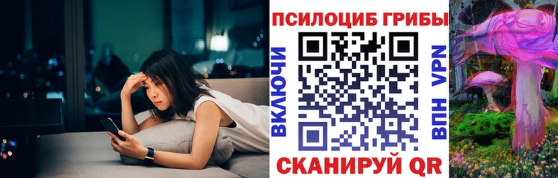 Галлюциногенные грибы Psilocybine cubensis  Купить закладки  Нюрба 