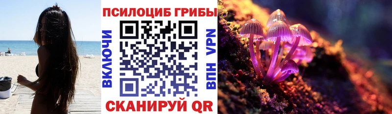 Псилоцибиновые грибы Cubensis Нюрба